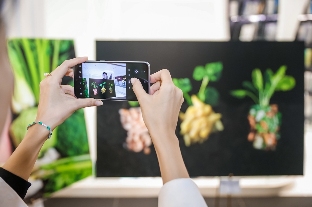 将旗舰级体验惠及更多用户 三星Galaxy S23 FE及生态新品亮相北京(图5)